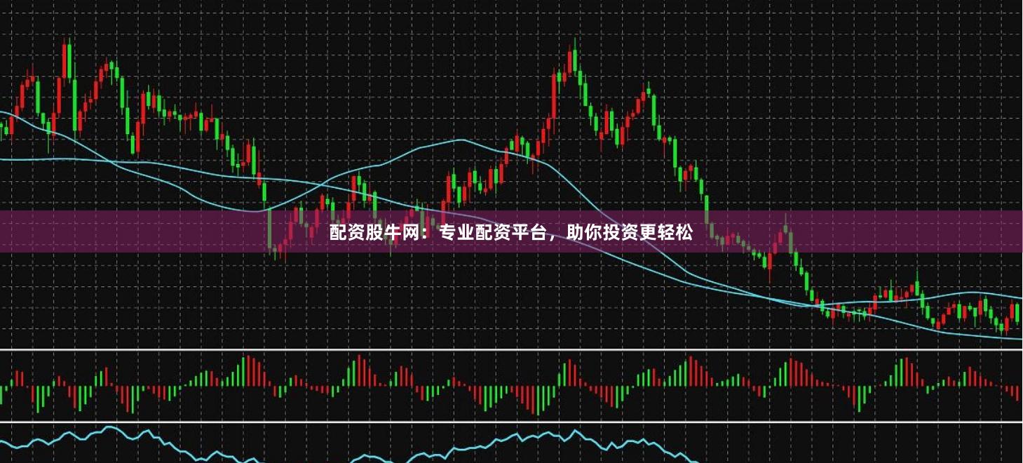配资股牛网：专业配资平台，助你投资更轻松
